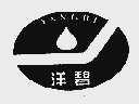 洋碧
