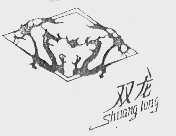 双龙