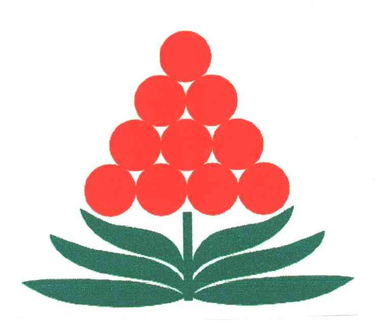 图形