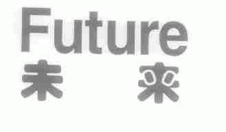 未来;FUTURE