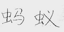 蚂蚁