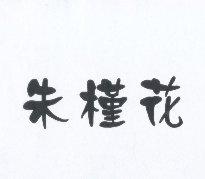 朱槿花
