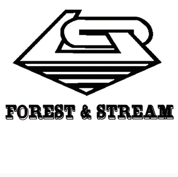 FOREST STREAM