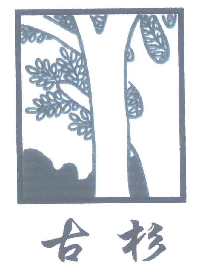 古杉