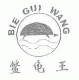 鳖龟王