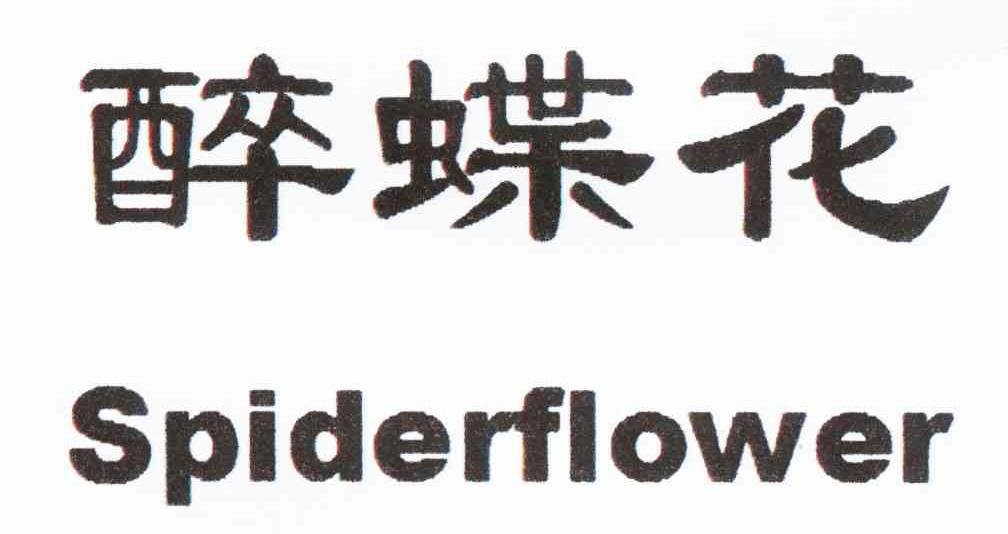 醉蝶花 SPIDERFLOWER