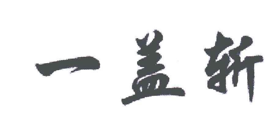 一盖斩