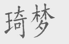 琦梦