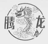 腾龙