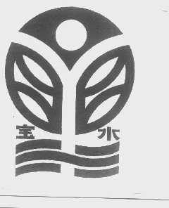 宝水
