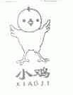 小鸡