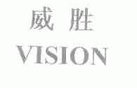 威胜;VISION
