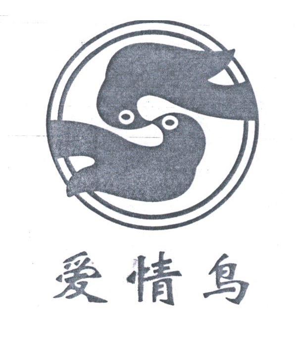 爱情鸟