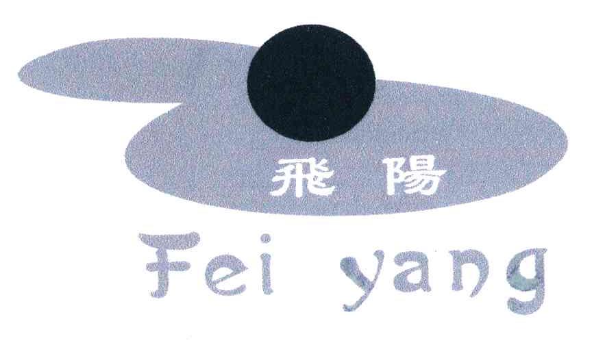 飞阳