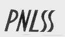 PNLSS