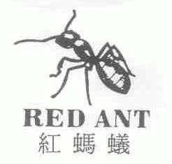 红蚂蚁;RED ANT