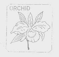 ORCHID