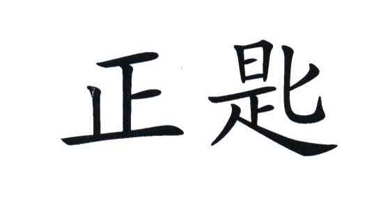 正匙