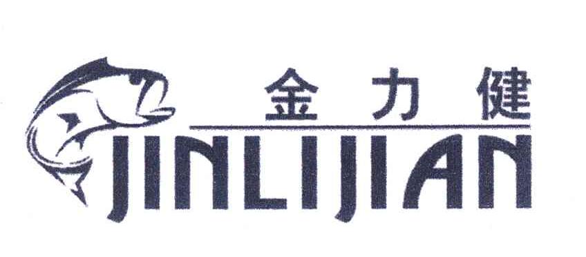 金力健