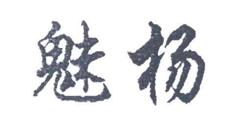 魅扬