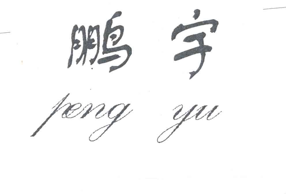 鹏宇