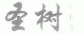 圣树