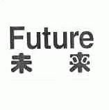 未来;FUTURE