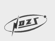 DZS
