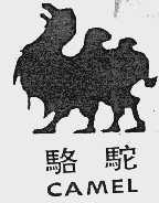 骆驼