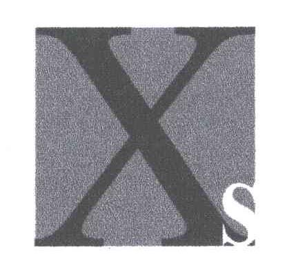 XS;X