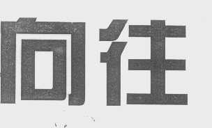 向往
