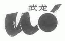 武龙