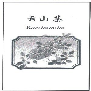 云山茶