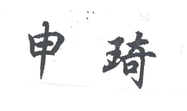 申琦