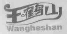 王鹤山