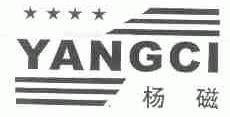 杨磁