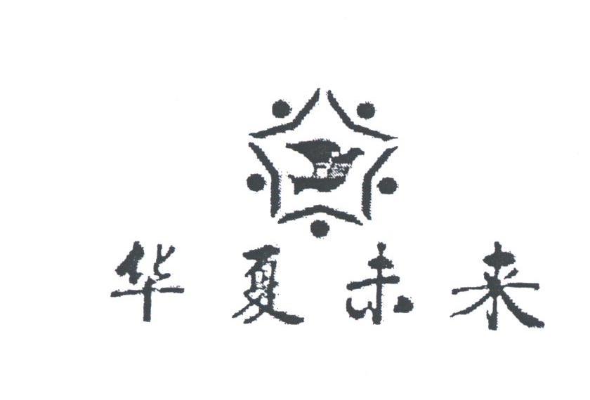 华夏未来