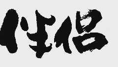 伴侣