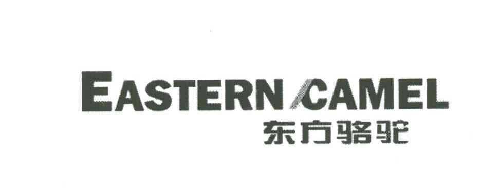 EASTERN CAMEL;东方骆驼