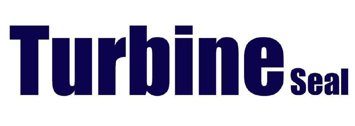 TURBINE SEAL