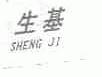 生基