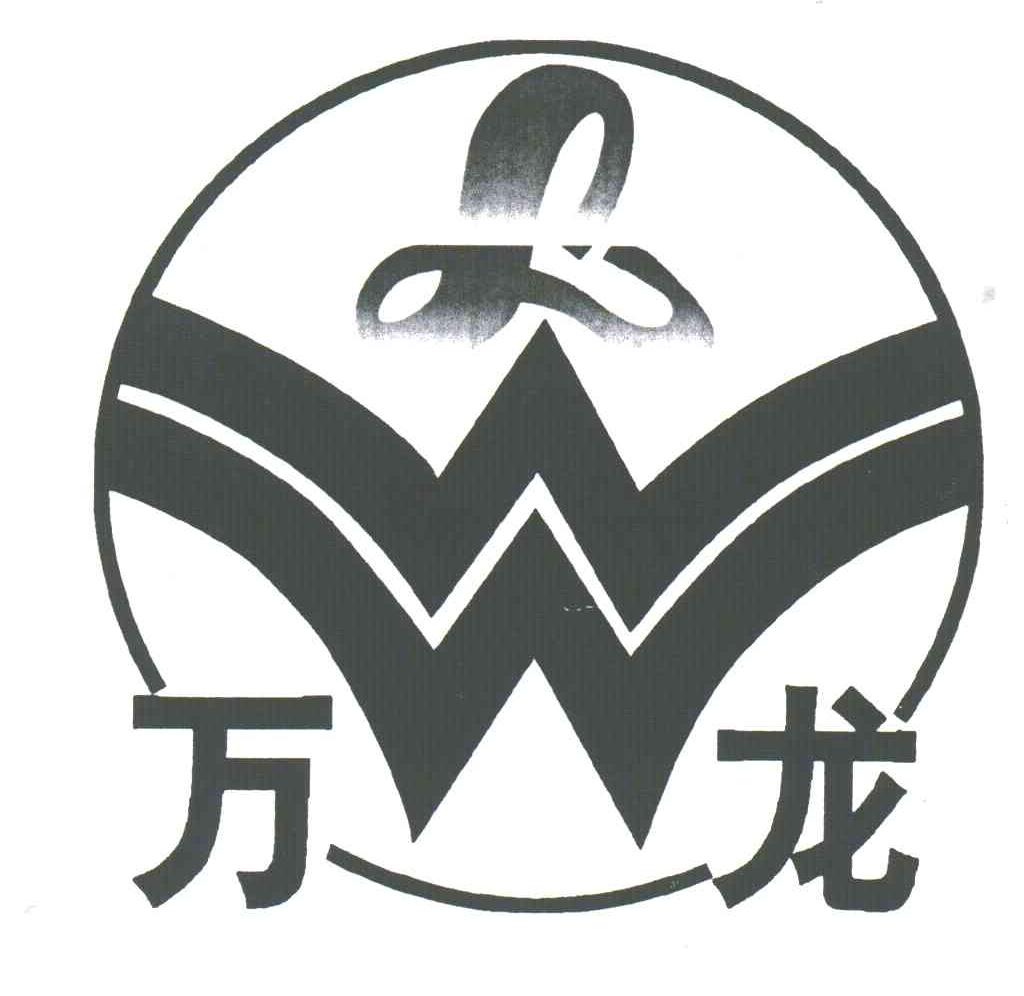 万龙