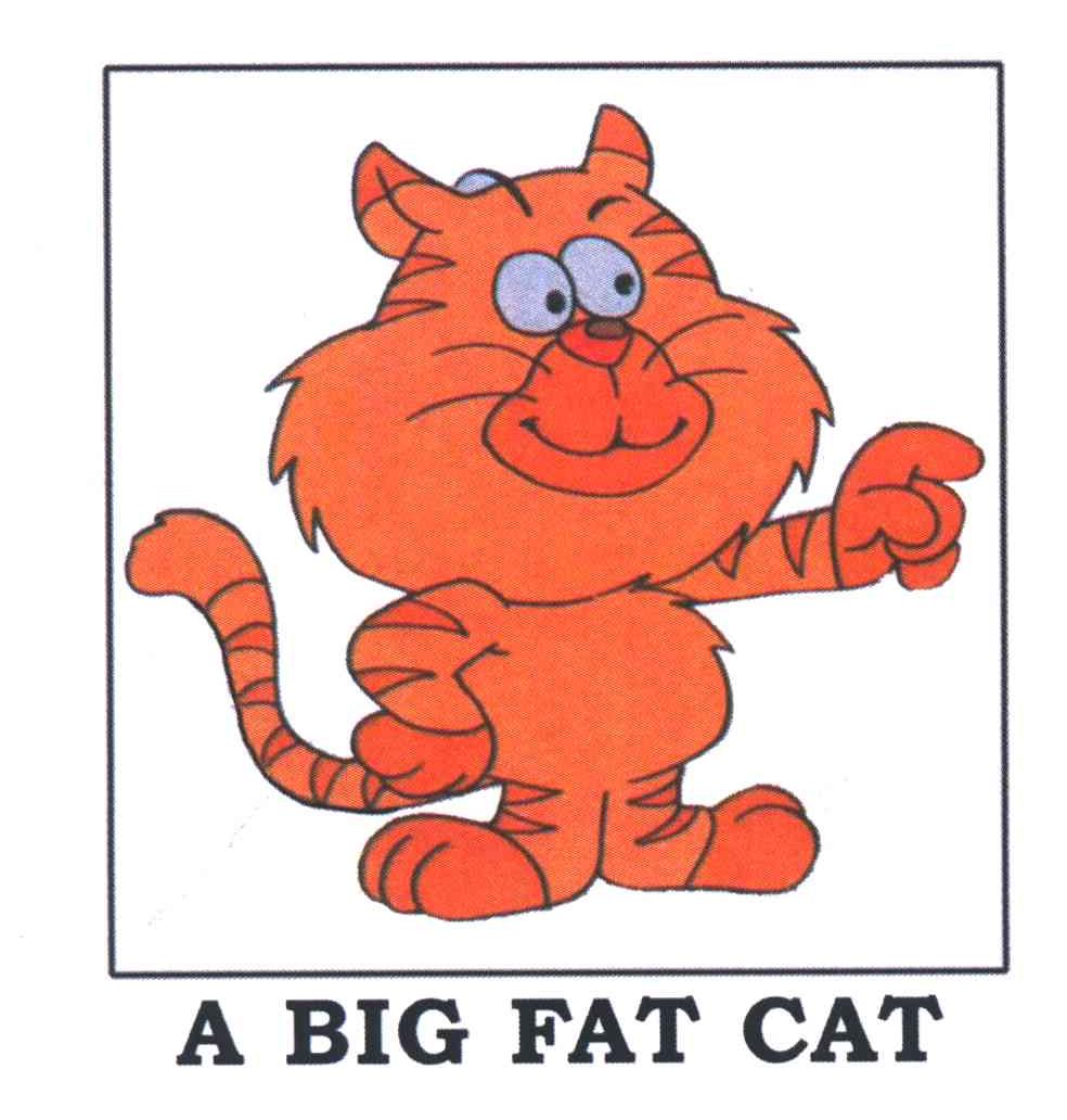 A BIG FAT CAT及图