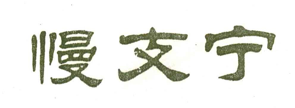 慢支宁