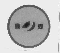 嘉毅