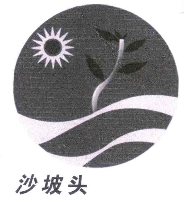 沙坡头