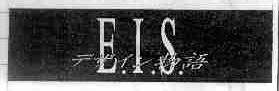E.I.S.