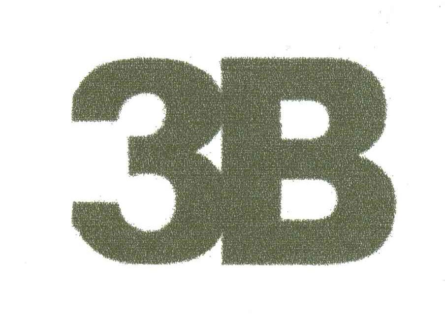 3B