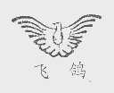 飞鸽