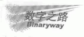 数字之路;BINARYWAY